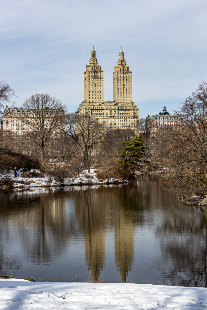 Concrete jungle by Camille Massida Photography